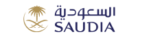 saudi logo